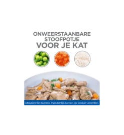 Hill's Science Plan Healthy Cuisine Volwassen Kat Stoofpotje Kip & Zalm - 4 X 12 X 80 Gram -Virbac Winkel hill s science plan healthy cuisine volwassen kat stoofpotje kip zalm 4 x 12 x 80 gram 2