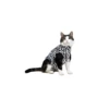 Medical Pet Shirt (Kat / Zebraprint)