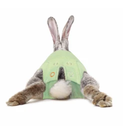 Medical Pet Shirt (Konijn) -Virbac Winkel medical pet shirt konijn groen 2