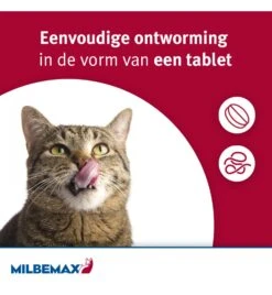 Milbemax Grote Kat -Virbac Winkel milbemax grote kat 2