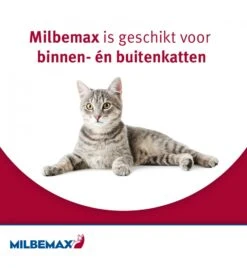 Milbemax Grote Kat -Virbac Winkel milbemax grote kat 3