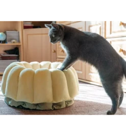 Petlando Ligmand Kat Vienna -Virbac Winkel petlando ligmand kat vienna 1 2