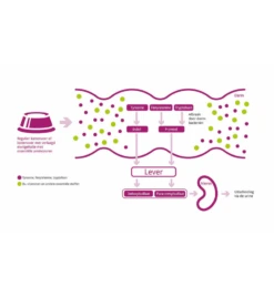 Porus One - 30 X 500 Mg -Virbac Winkel porus one 30 x 500 mg 3