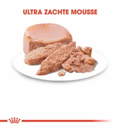 Royal Canin Mother & Babycat Mousse - 12 X 195 Gram -Virbac Winkel royal canin mother babycat mousse 12 x 195 gram 2