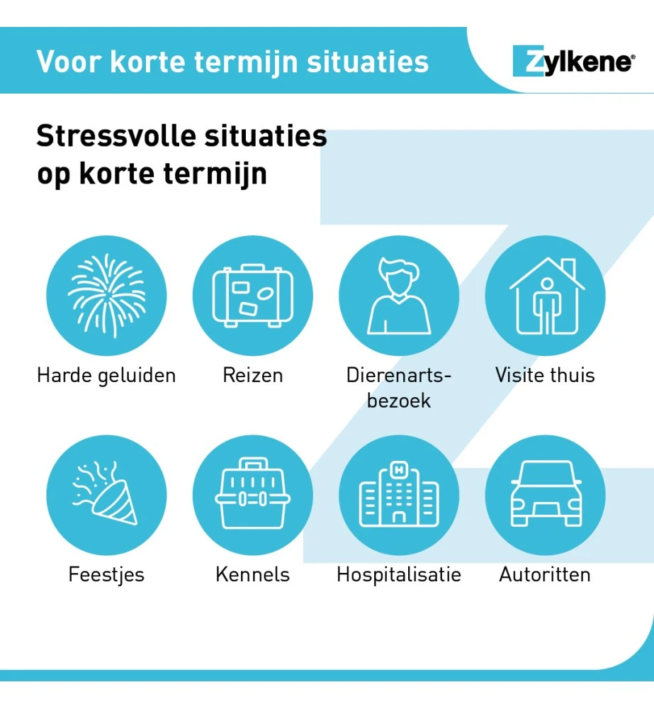 Vetoquinol Zylkène 75 Mg Capsules (- 10 Kg) 3 Vetoquinol Zylkène 75 Mg Capsules (- 10 Kg) - Afbeelding 3
