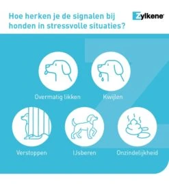 Vetoquinol Zylkène 75 Mg Capsules (- 10 Kg) 11 Vetoquinol Zylkène 75 Mg Capsules (- 10 Kg) -Virbac Winkel zylkene 75 mg capsules 3