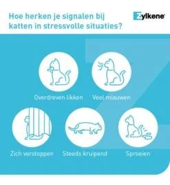 Vetoquinol Zylkène 75 Mg Capsules (- 10 Kg) 12 Vetoquinol Zylkène 75 Mg Capsules (- 10 Kg) -Virbac Winkel zylkene 75 mg capsules 4