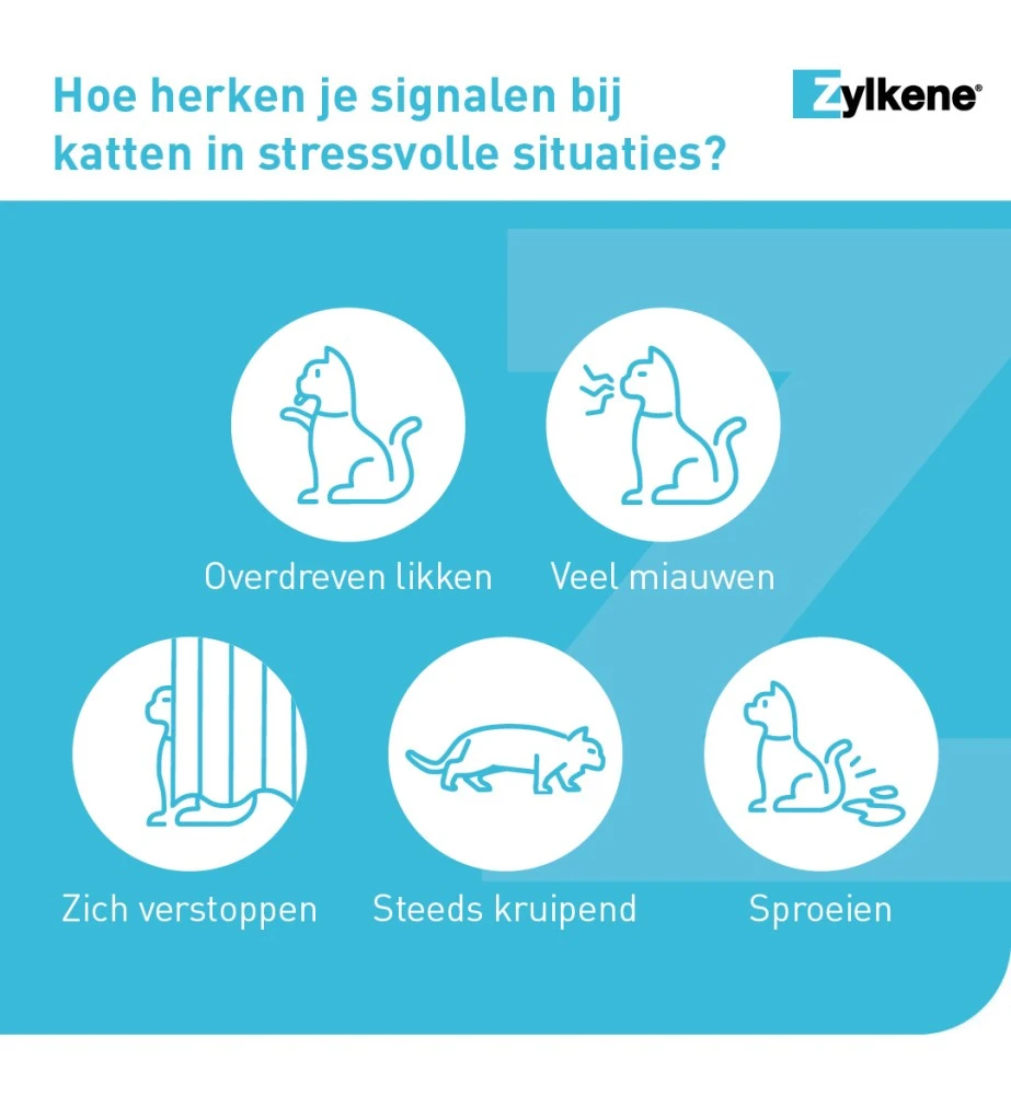 Vetoquinol Zylkène 75 Mg Capsules (- 10 Kg) 5 Vetoquinol Zylkène 75 Mg Capsules (- 10 Kg) - Afbeelding 5