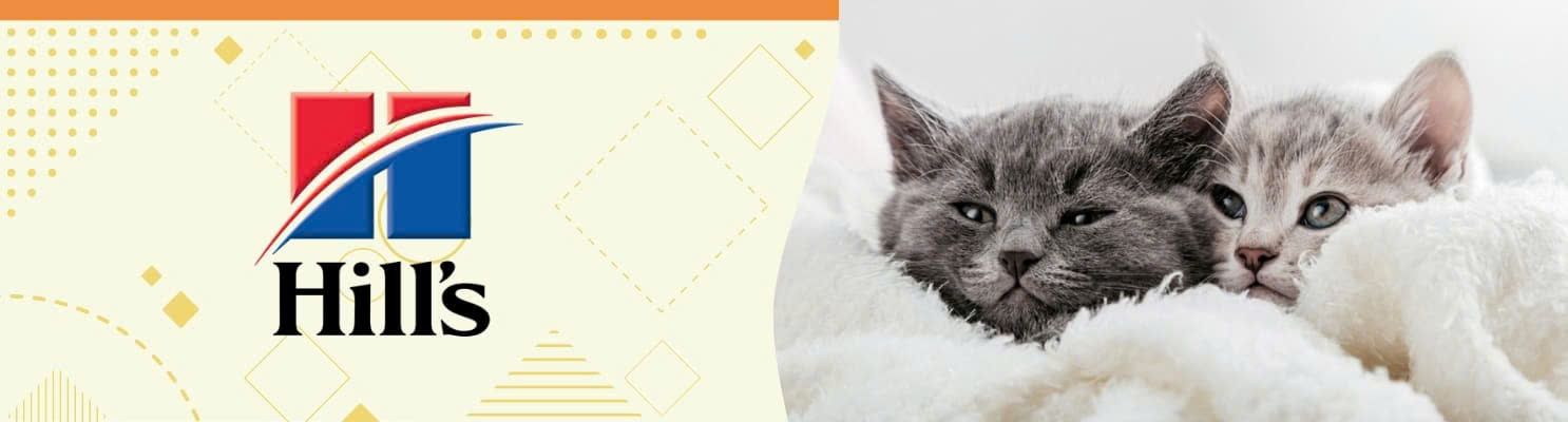 Voorkant -Virbac Winkel z6465575817775 2b854c02d7b5413984e7ec78841ab24c